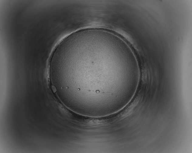 X0000093411366200710121109