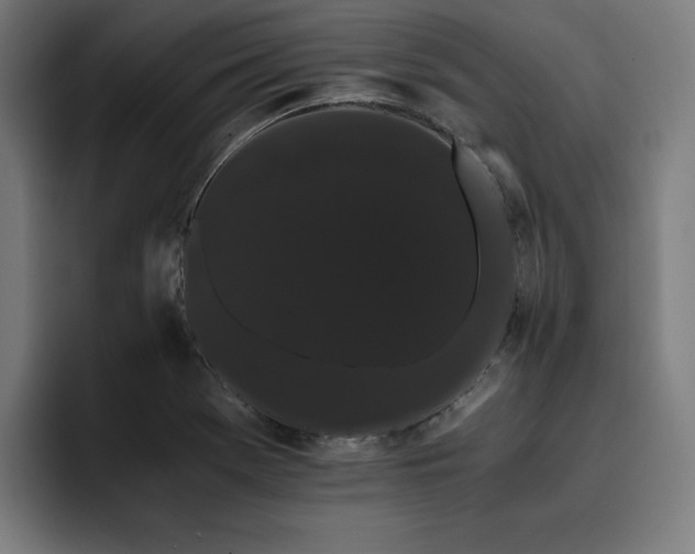X0000093411369200710121109