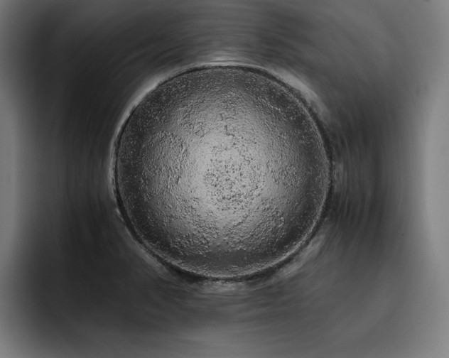 X0000093411374200710121109
