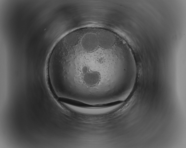 X0000093411375200710121109