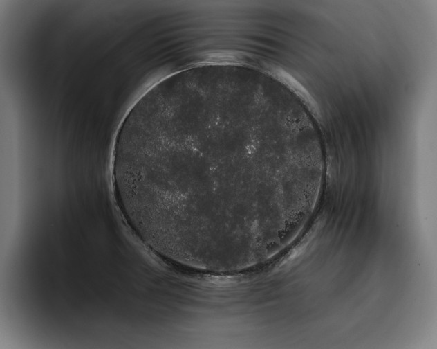 X0000093411378200710121109
