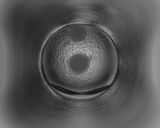 X0000093411379200710121109
