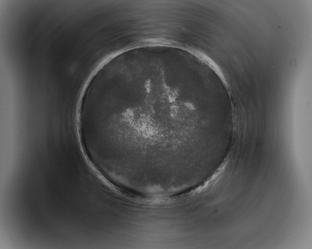 X0000093411381200710121109