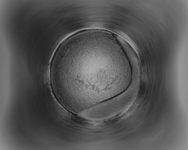 X0000093411388200710121109