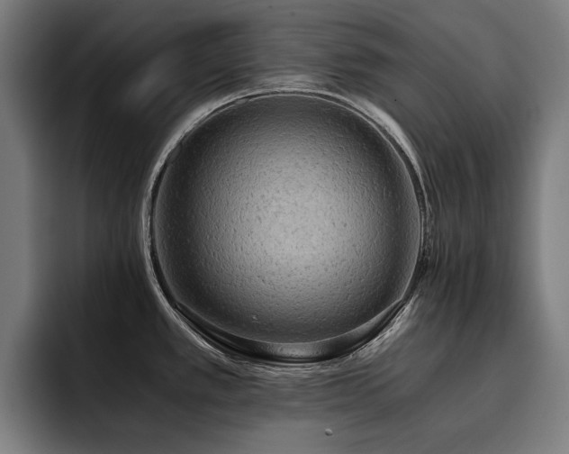 X0000093411389200710121109