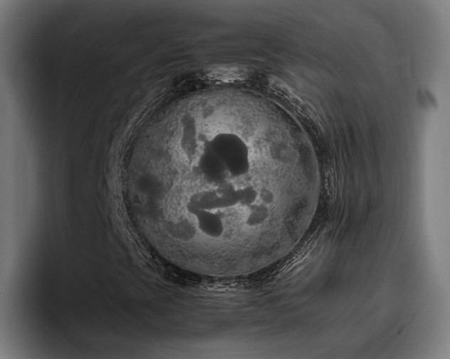 X0000093411393200710121108