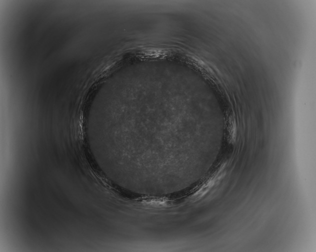 X0000093411394200710121108