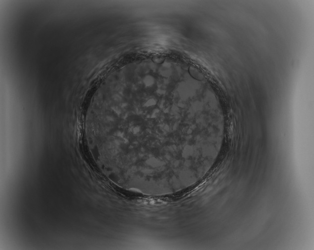 X0000093411397200710121108