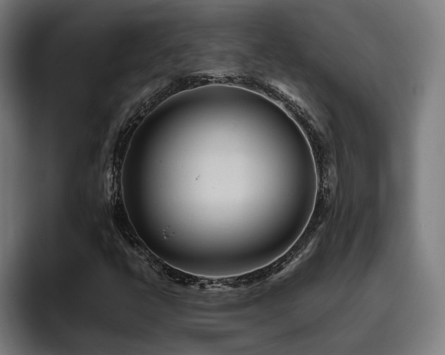 X0000093411398200710121108