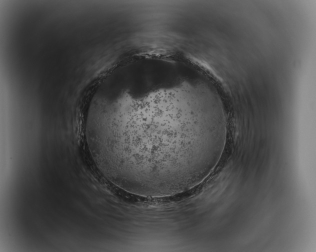 X0000093411399200710121108