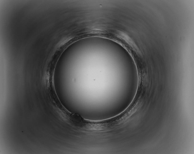 X0000093411402200710121109