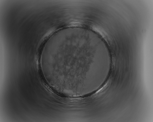 X0000093411403200710121109