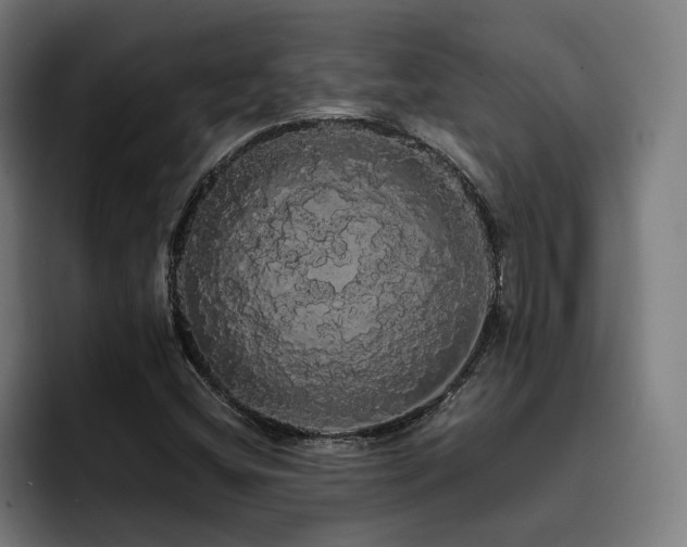 X0000093411404200710121109
