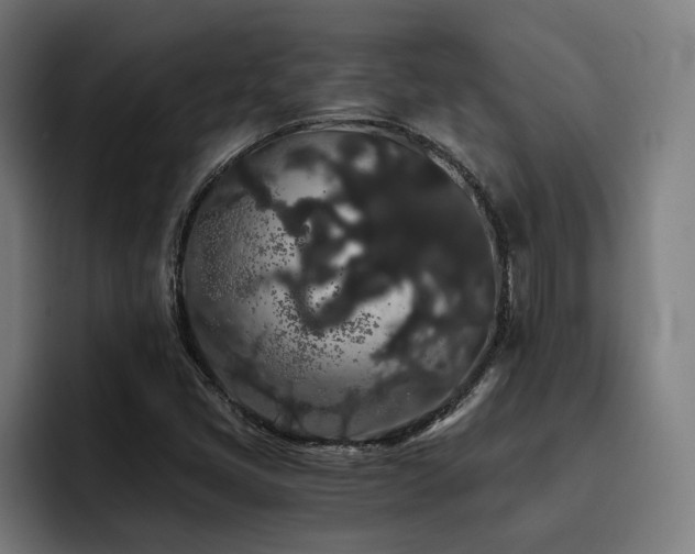 X0000093411405200710121109