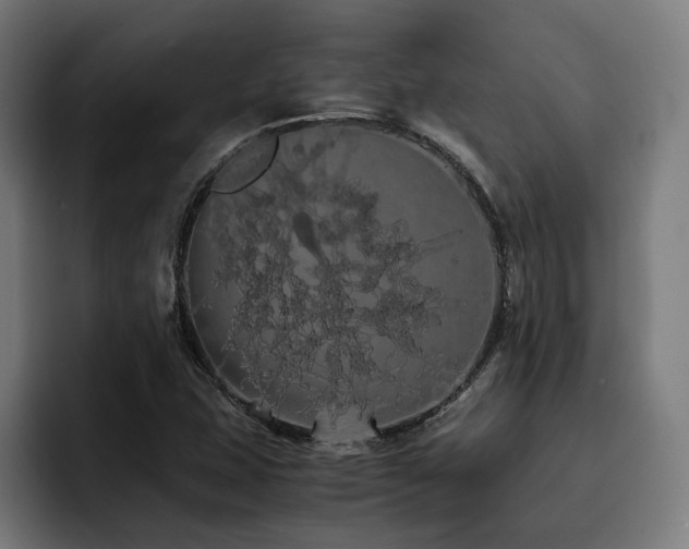 X0000093411407200710121109