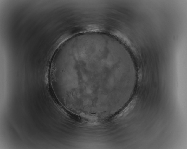 X0000093411409200710121109