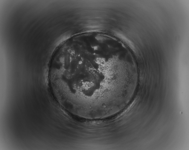 X0000093411411200710121109