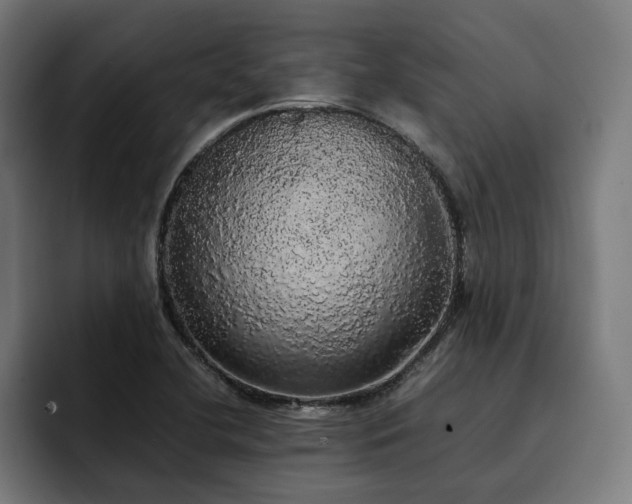 X0000093411412200710121109