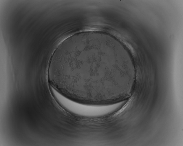 X0000093411417200710121109