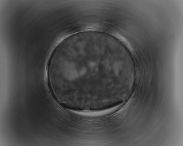 X0000093411419200710121109