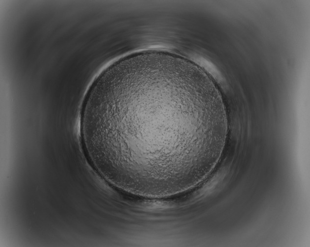 X0000093411420200710121109