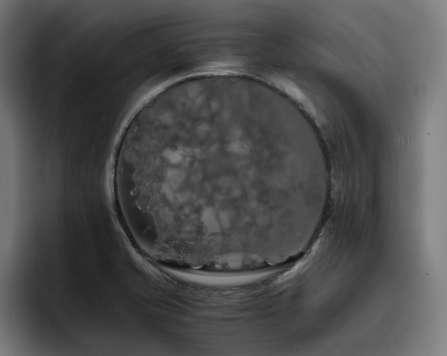 X0000093411421200710121109