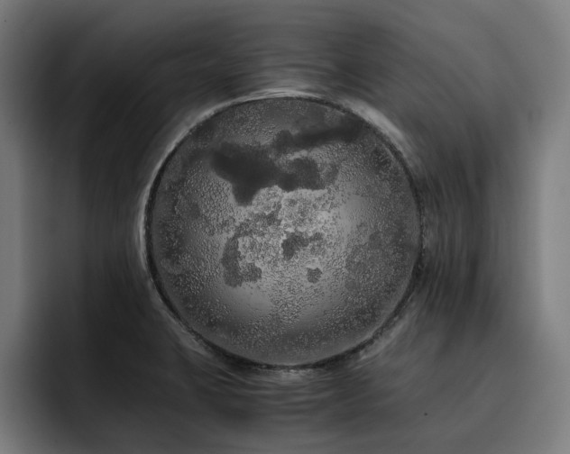 X0000093411423200710121109