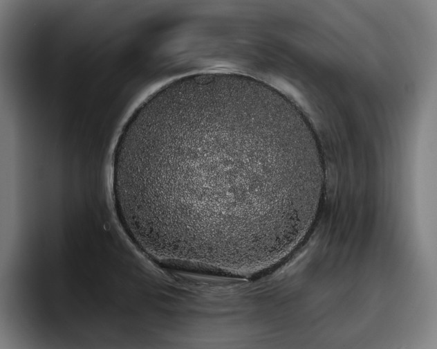 X0000093411424200710121109