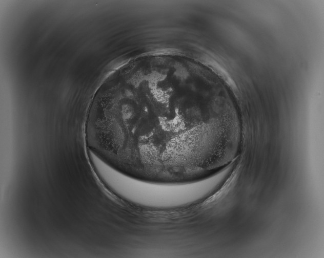 X0000093411425200710121109