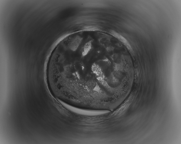 X0000093411427200710121109