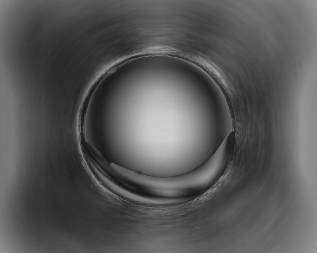X0000093411430200710121109