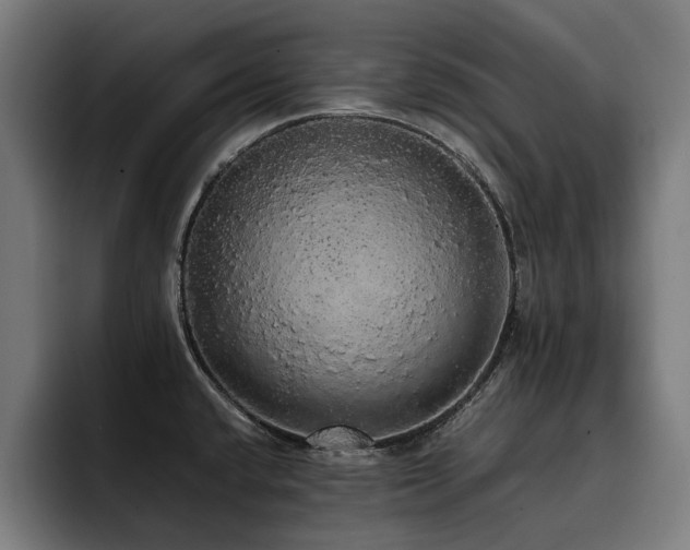 X0000093411432200710121109
