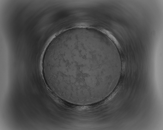 X0000093411435200710121109
