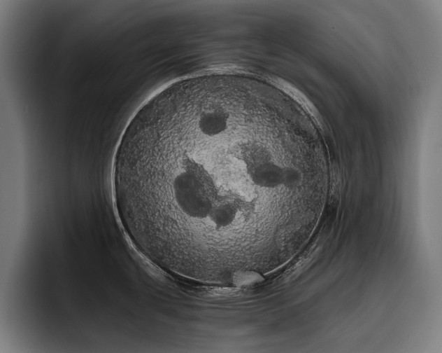 X0000093411439200710121109