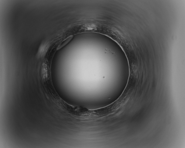 X0000093411442200710121108