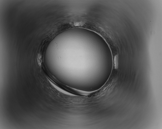 X0000093411443200710121108