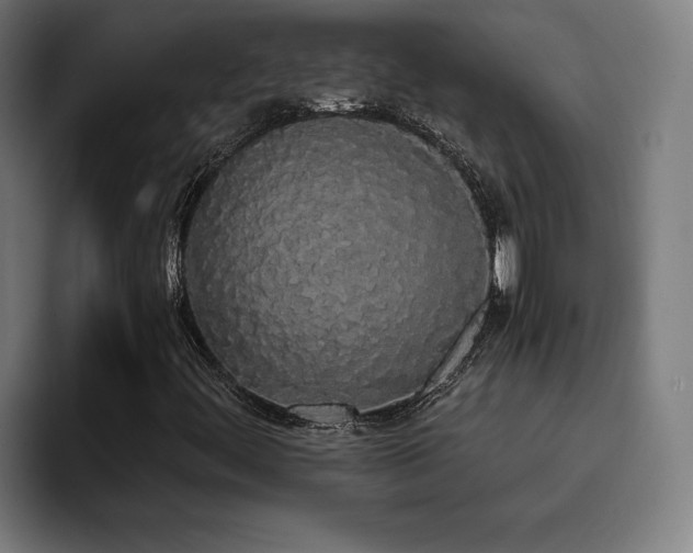 X0000093411444200710121108
