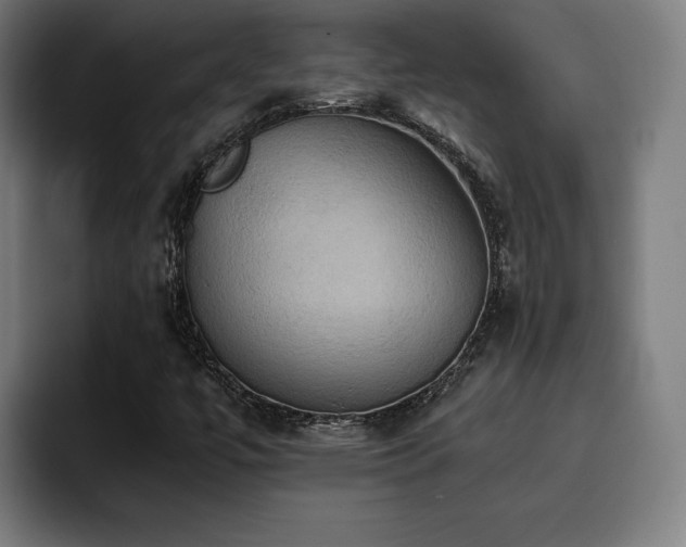 X0000093411447200710121108
