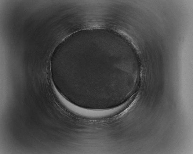 X0000093411449200710121108