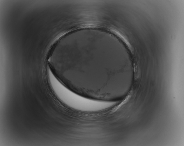 X0000093411453200710121108