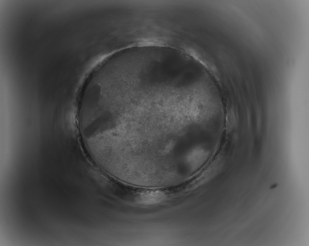 X0000093411454200710121108