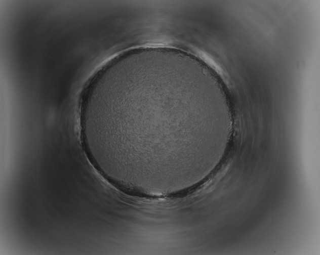 X0000093411456200710121108