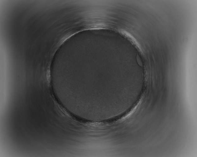 X0000093411457200710121108