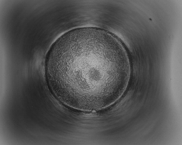 X0000093411460200710121108