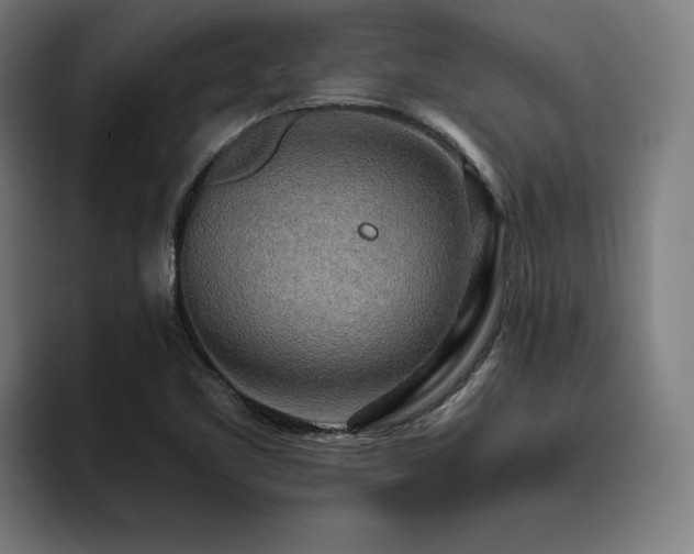X0000093411461200710121108