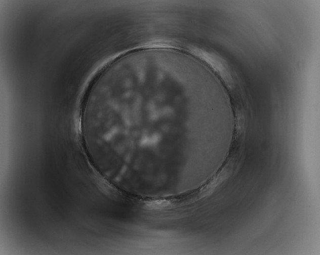 X0000093411462200710121108