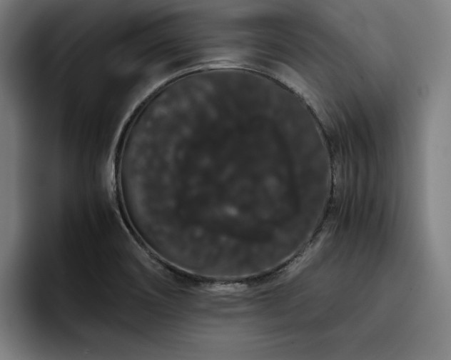 X0000093411466200710121108
