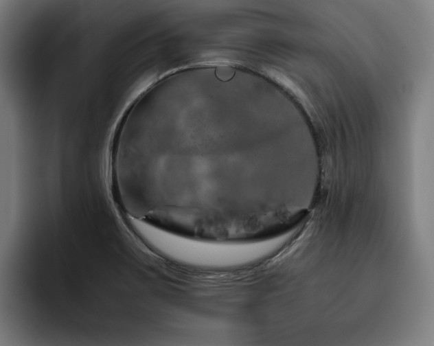 X0000093411467200710121108