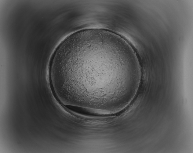 X0000093411468200710121108