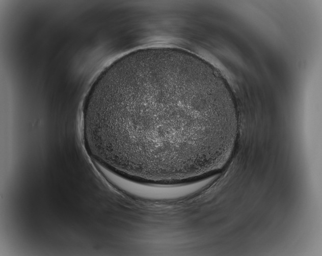 X0000093411472200710121108
